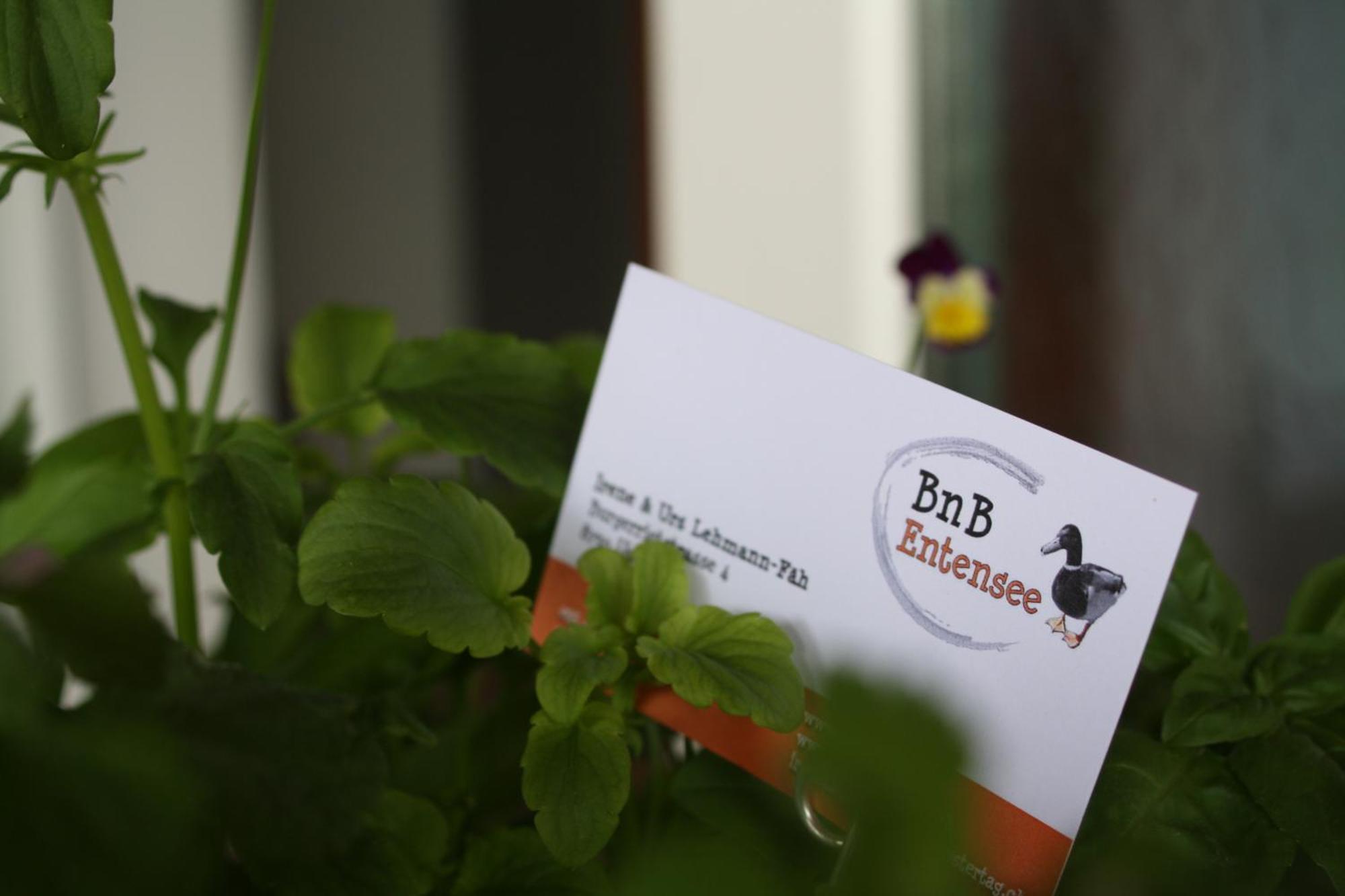 Bnb Entensee Uznach ภายนอก รูปภาพ