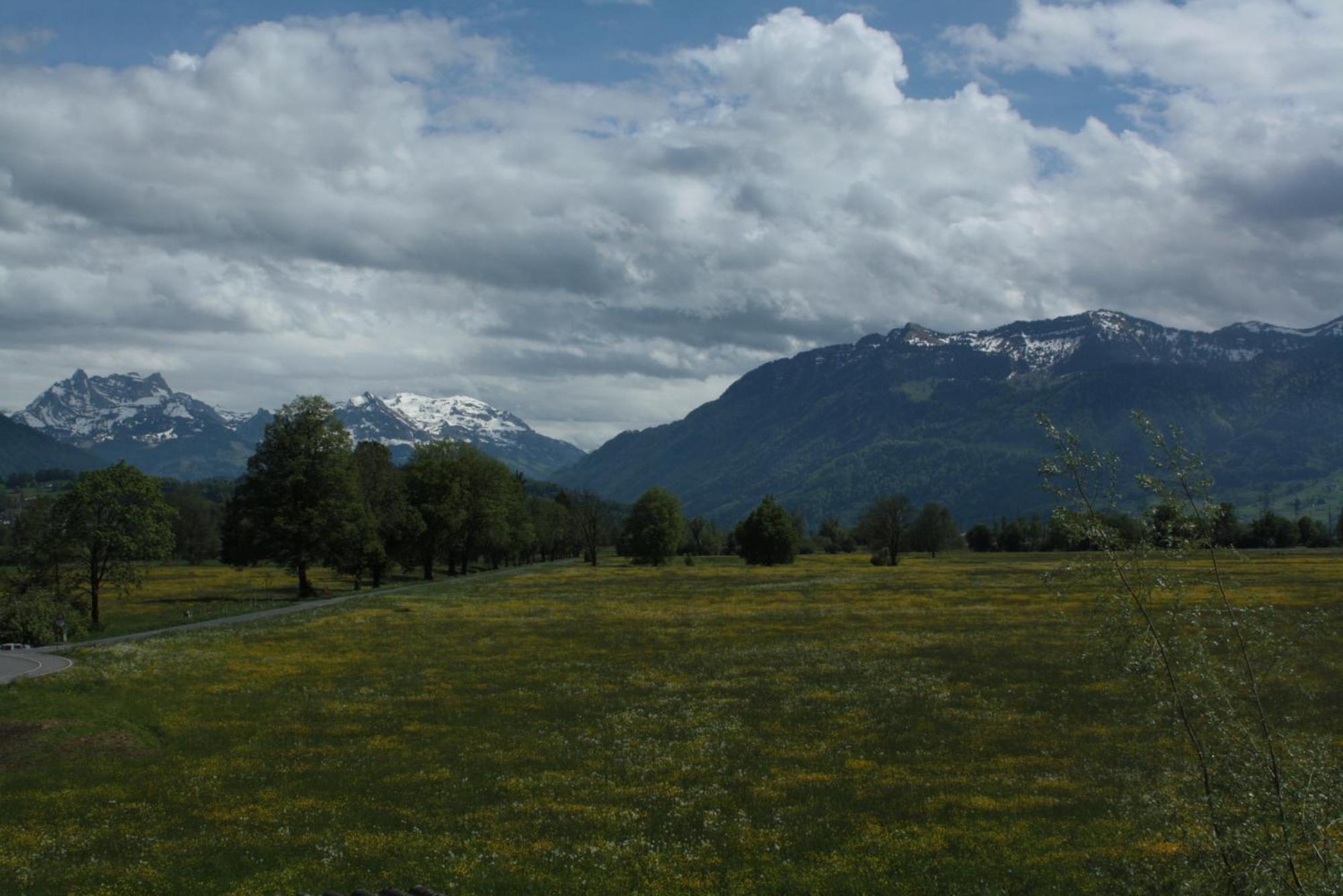 Bnb Entensee Uznach ภายนอก รูปภาพ