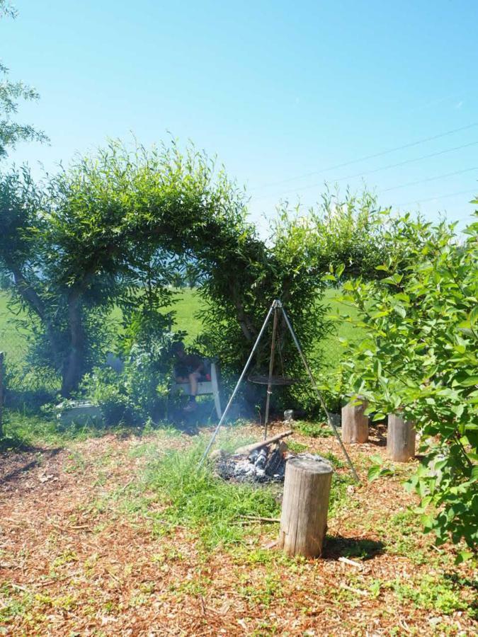 Bnb Entensee Uznach ภายนอก รูปภาพ