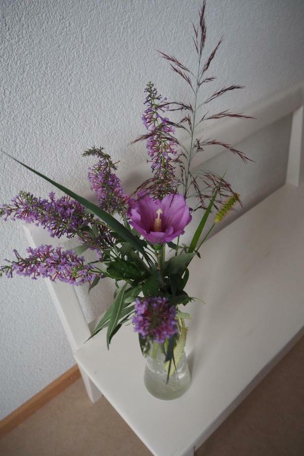 Bnb Entensee Uznach ภายนอก รูปภาพ
